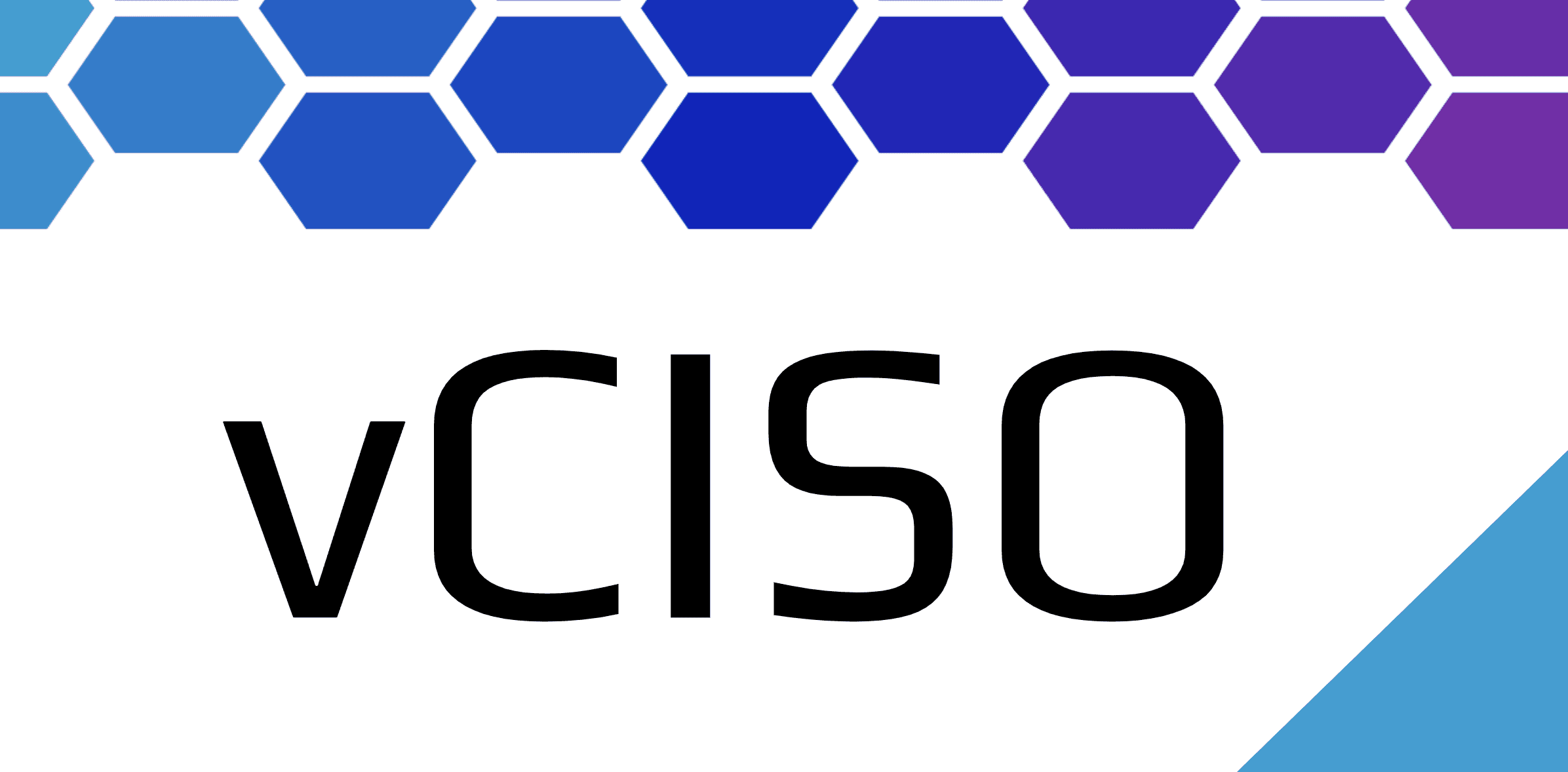vCISO header image