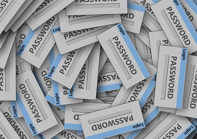 Poor IT Management Passwords